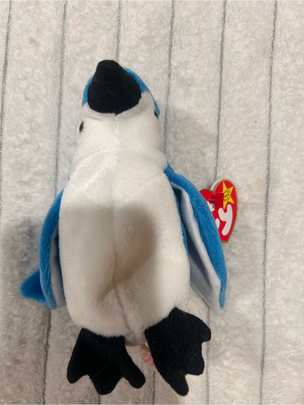 Rocket the Blue Jay, a classic vintage Ty Beanie Baby